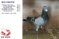 23-5067942 en 5067925 wonnen gezamenlijk 29 prijzen waarvan 19 per 10-tal. Ze komen uit hetzelfde koppel.