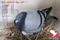 B21-3075117 “De 117”