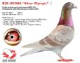 B20-3015063 “Silver Olympic”
