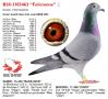 B20-3103463 “Felicienne”