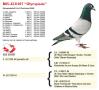BE05-6231037 “Olympiade”