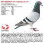 B05-6231037 “De Olympiade 37”