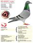 B19-6030207 “Louka”