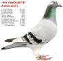 B10-6143192 My Favourite