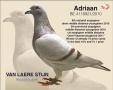 B10-4118921 Adriaan