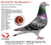 B11-6153732 “Het Moederke”