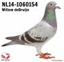 NL14-1060154, 10e Nationaal