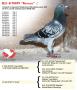 B21-4178899 “Remco”