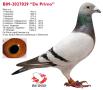 B09-2027029 DePrimo