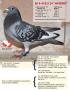 B14-4102124 Andre