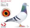 0901-14-272 “As 272”