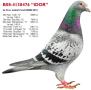 B08-4130476 Idor