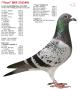 B07-2103401 Yvan