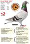B16-6128508 "Nike"