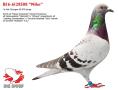 BE16-6128508 "Nike"