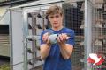 Gouden Duif Junior: Rogier Ingels, Laarne