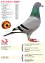 B14-2189243 ANJA
