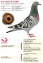B15-6108178 AURE