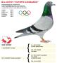 BE14-6207939 "Olympic Leonardo"