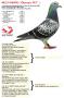 NL23-9168933 “Olympic 933”