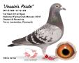 DV-0784-17-0184 “Jessie’s Pride”