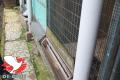 2 Sinds 2011 zitten de duiven in rennen. Aan de buitenzijde staat de drinkpot en hangt een eetbak. Op die manier krijgen ze wat ze nodig hebben en beperkt Rie het contact met de duiven en hun mest. Het bloed kruipt waar het niet gaan kan.