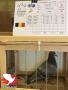 Rik Hermans "Godiva", BE13-6215886, wins 1st Belgian Olympiad pigeon old birds.