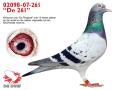 02098-07-261 “De 261”