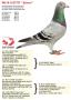 NL18-1632737 “Jolene”