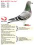 NL18-1632739 “Lou Lou”