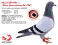NL22-8599786 “New Generation Ace 786”