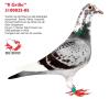 ‘Il Grillo’ 3100035-05, still had in him the blood of all important stock pigeons: ‘Brecht’, ‘Rikkie’ and ‘Crayonné’. The colours come from the ‘Orhan’ of the Brugemann Bros. He won 1st international St. Vincent against 5,396 yearlings in 2006. For that matter, he is a nephew of the ‘Luuszak’...
