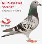 NL15-1518340 Comb. Slotboom