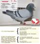 B12-6023320 Noor