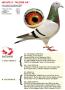 BE15-6062678 "Kleine As"