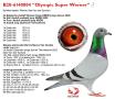 B20-6140804 “Olympic Super Werner”