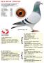 NL14-1651340 “Youliya”