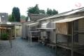 De hokken in Schilde