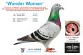 NL14-1059638 "Wonder Woman"