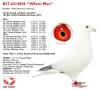 B17-6214606 “White Man”